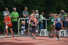 Aija-Brandt-Sprint
